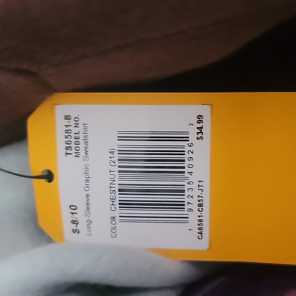Carhartt Boy's Long-Sleeve Graphic Sweatshirt, Chestnut - Picture 2 of 2